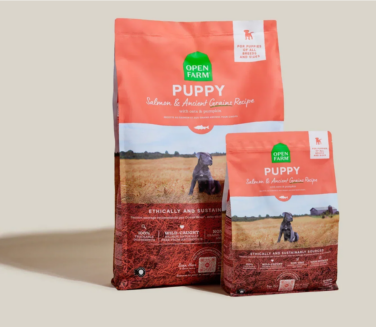 Salmon & Ancient Grains Puppy Kibble