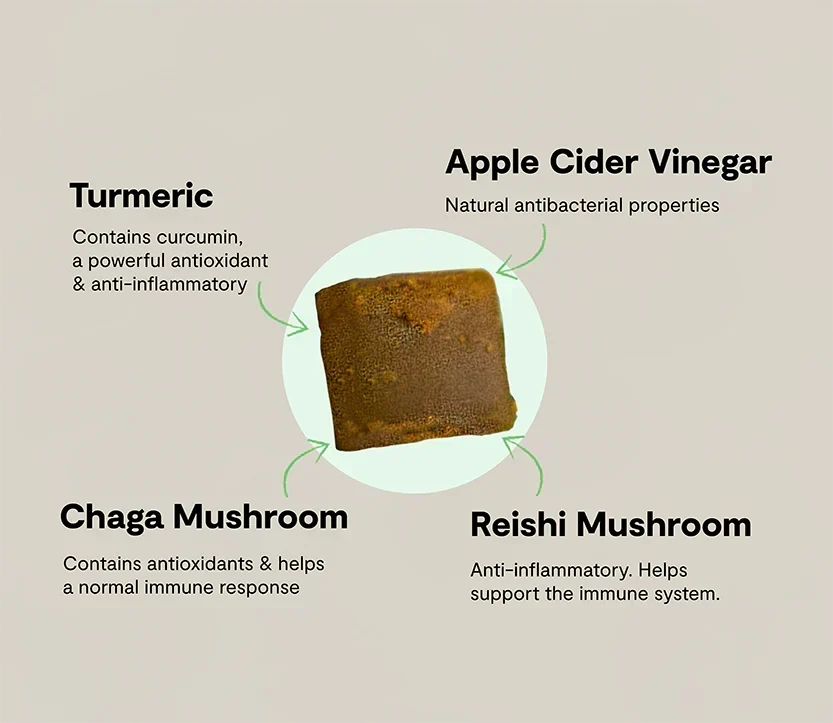 Immune Health Supplement Chews for Dogs