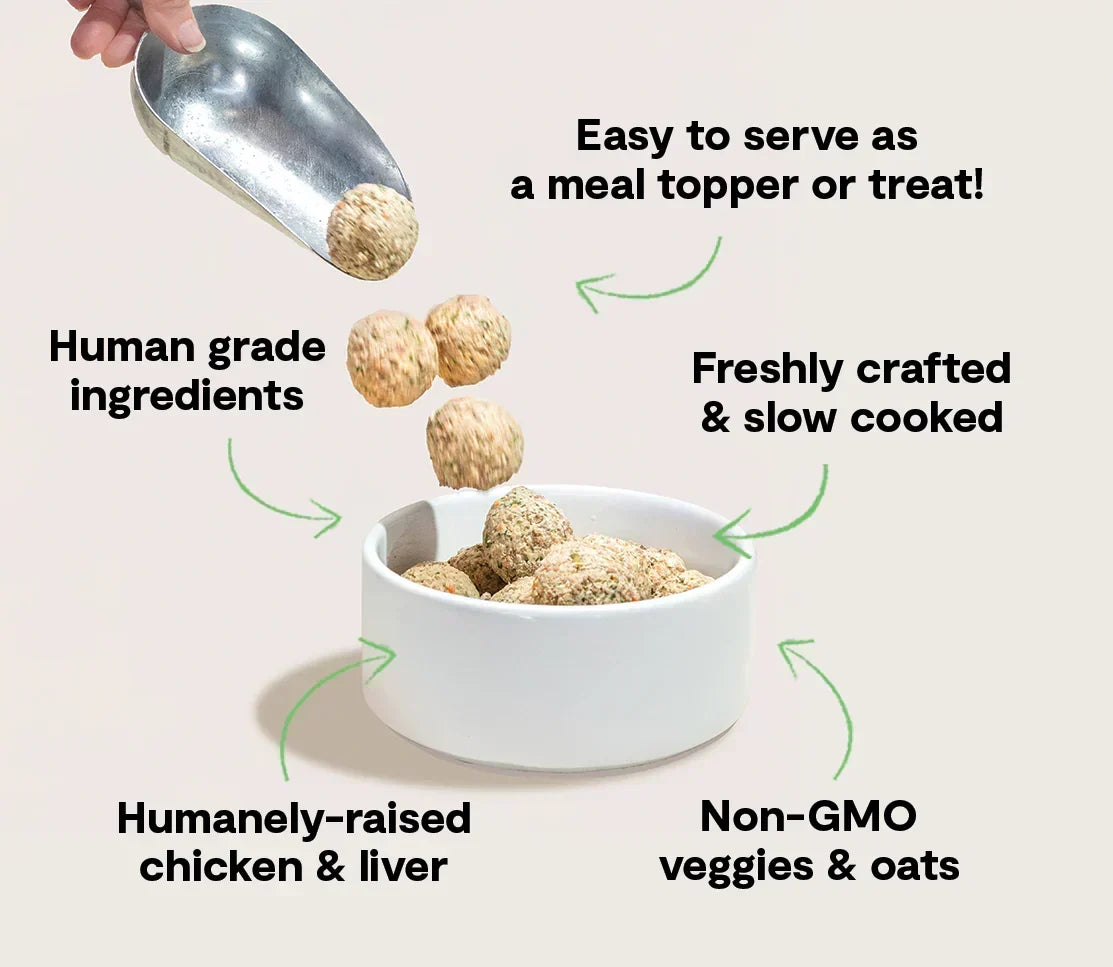 Harvest Chicken Freshly Crafted Meatballs for Dogs