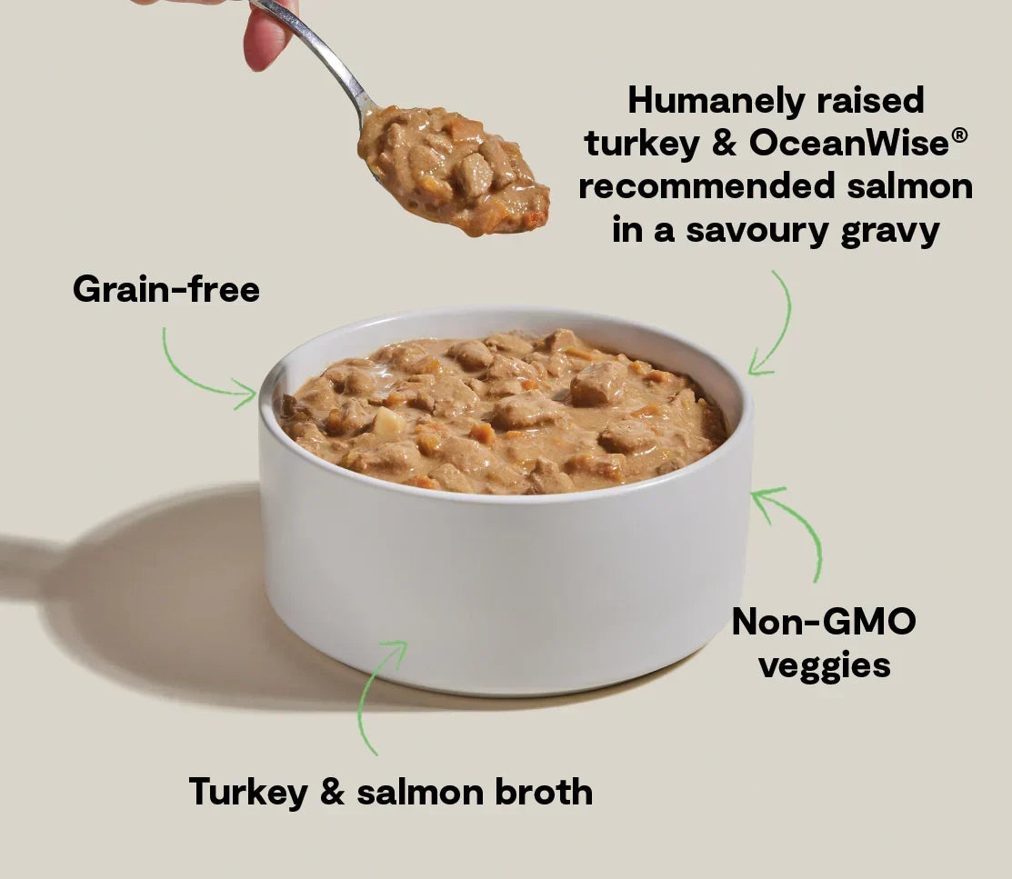 Turkey & Salmon Hearty Stew Wet Dog Food