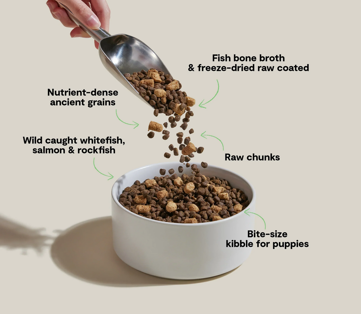 RawMix Ancient Grains Puppy Kibble