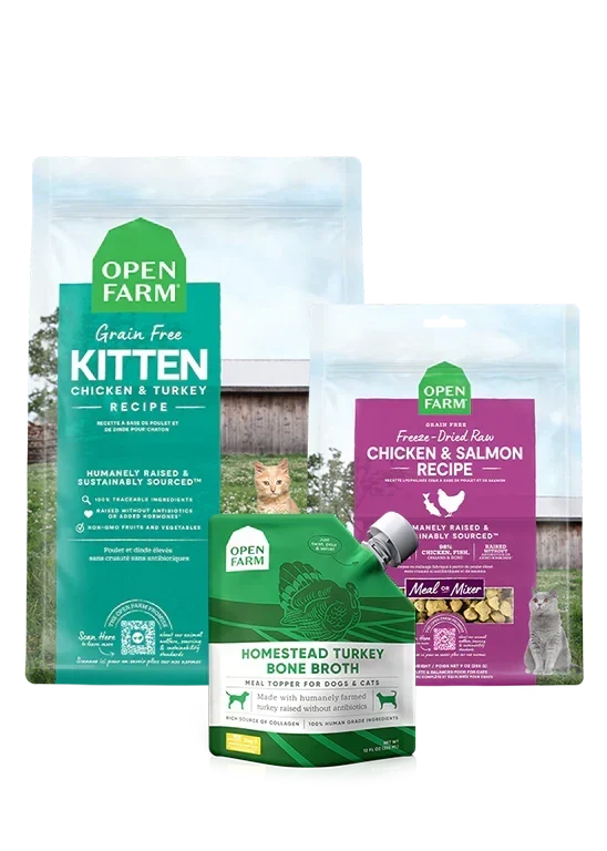 New Kitten Pack