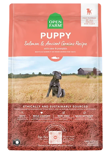 Salmon & Ancient Grains Puppy Kibble