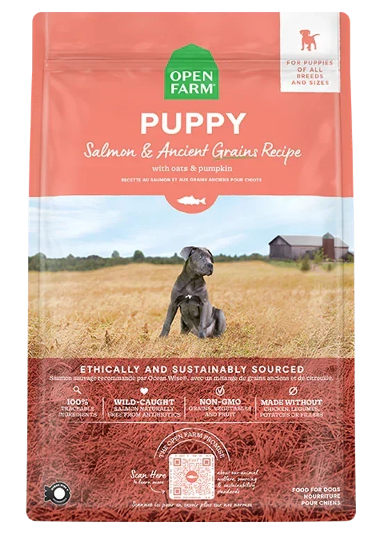 Salmon & Ancient Grains Puppy Kibble
