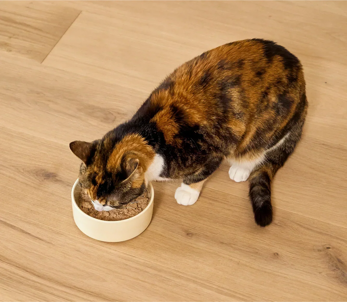 Chicken & Pollock Healthy Weight Pâté for Cats