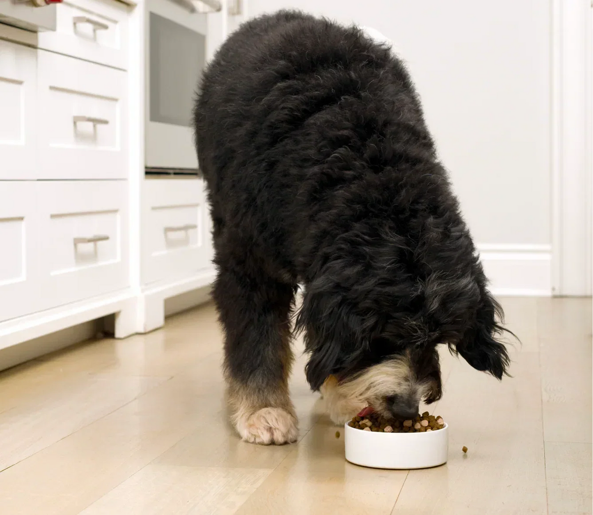 RawMix Open Prairie Grain-Free Dog Kibble