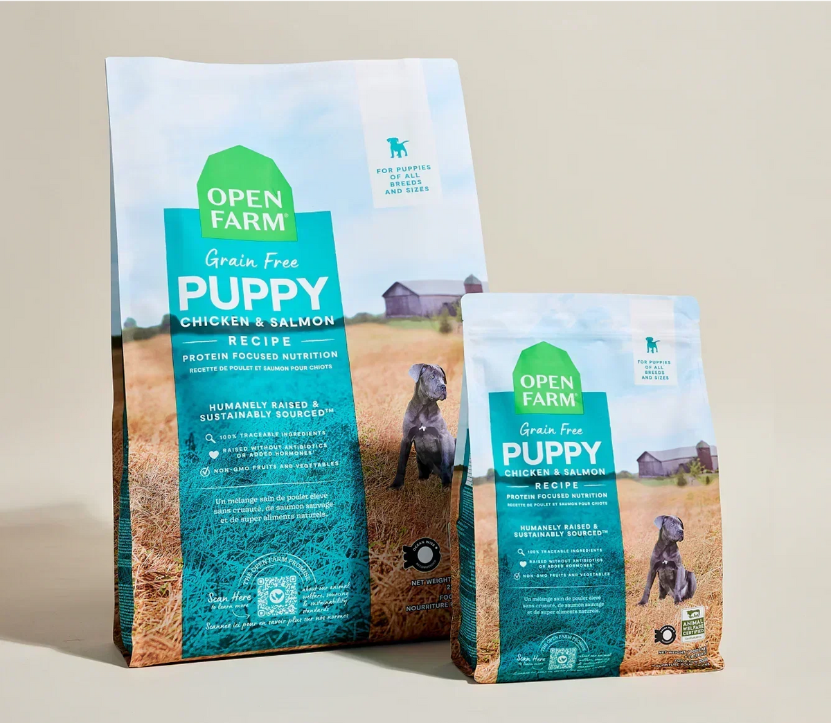 Chicken & Salmon Grain-Free Puppy Kibble
