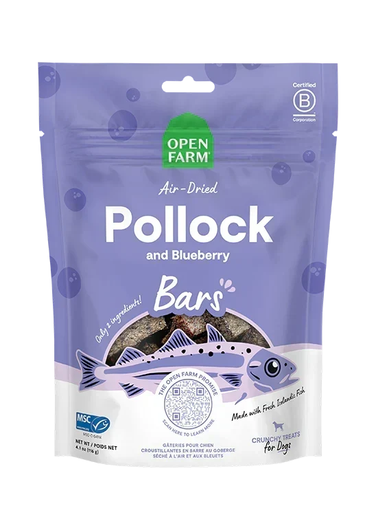 Icelandic Air-Dried Pollock & Blueberry Dog Treat Bars