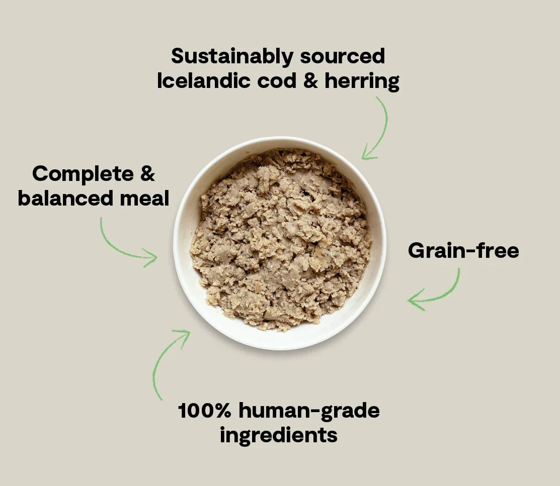 Icelandic Cod & Herring Wet Food for Dogs