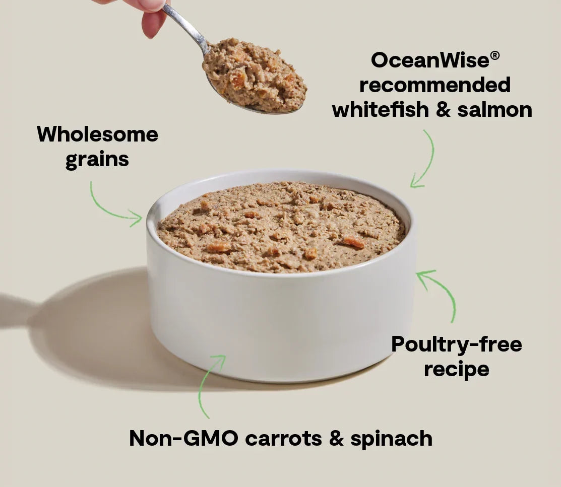 Goodbowl™ Wild-Caught Whitefish & Salmon Pâté for Dogs