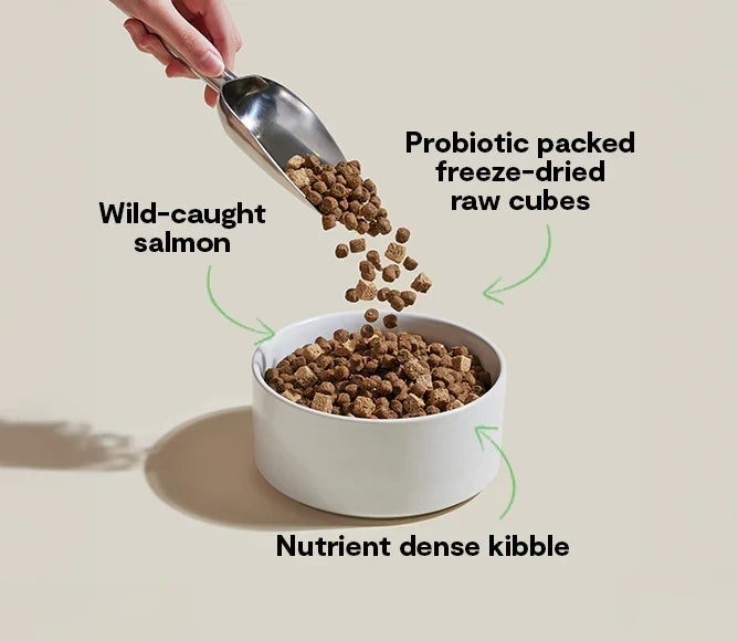 GoodGut Wild-Caught Salmon Dog Kibble