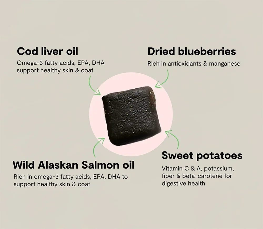 Skin & Coat Food Supplement Chews for Dogs
