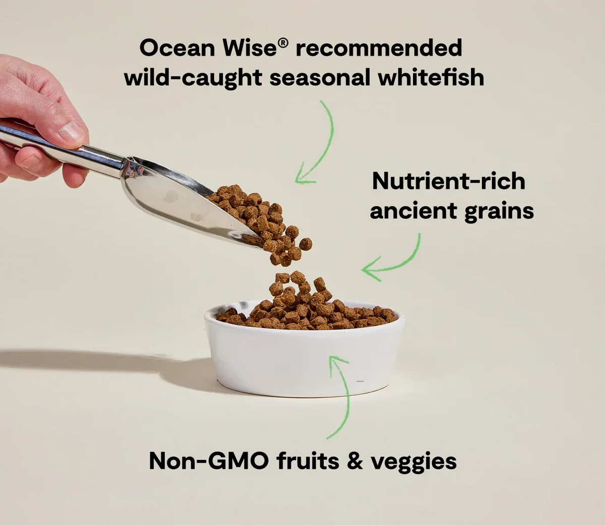 Whitefish & Ancient Grains Dog Kibble