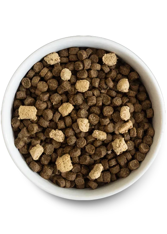 RawMix Plus Bundle for Dogs