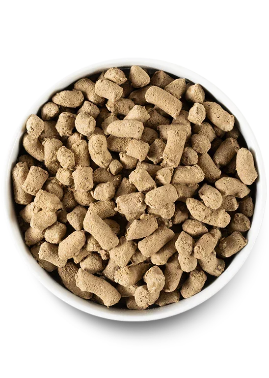 Picky Pets Bundle