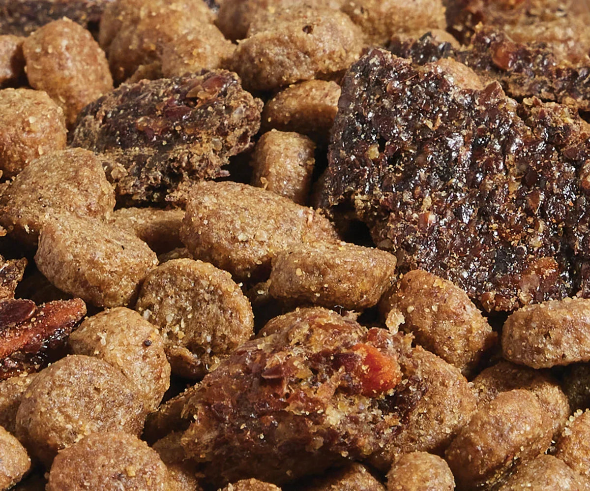 Epic Blend Salmon & Superfood Grain-Free Dog Kibble