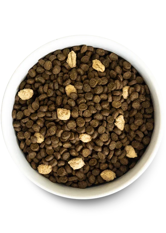Feline RawMix Plus Bundle