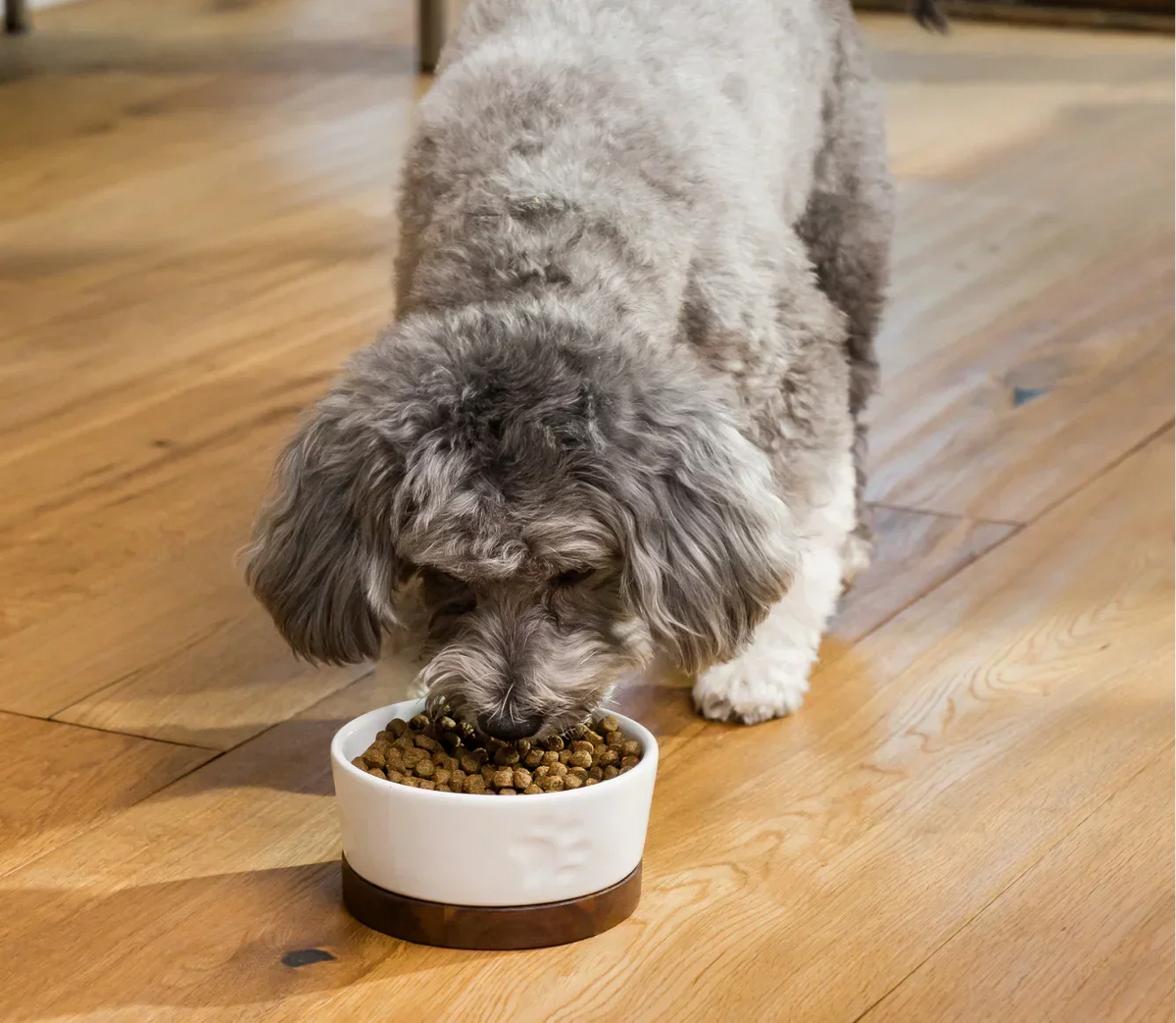 Chicken & Whitefish Healthy Weight Dog Kibble