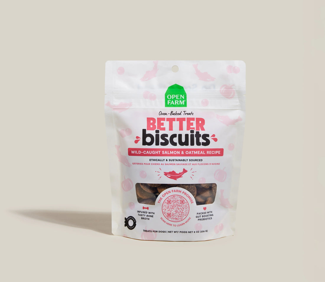 Better Biscuits Wild-Caught Salmon & Oatmeal Treats