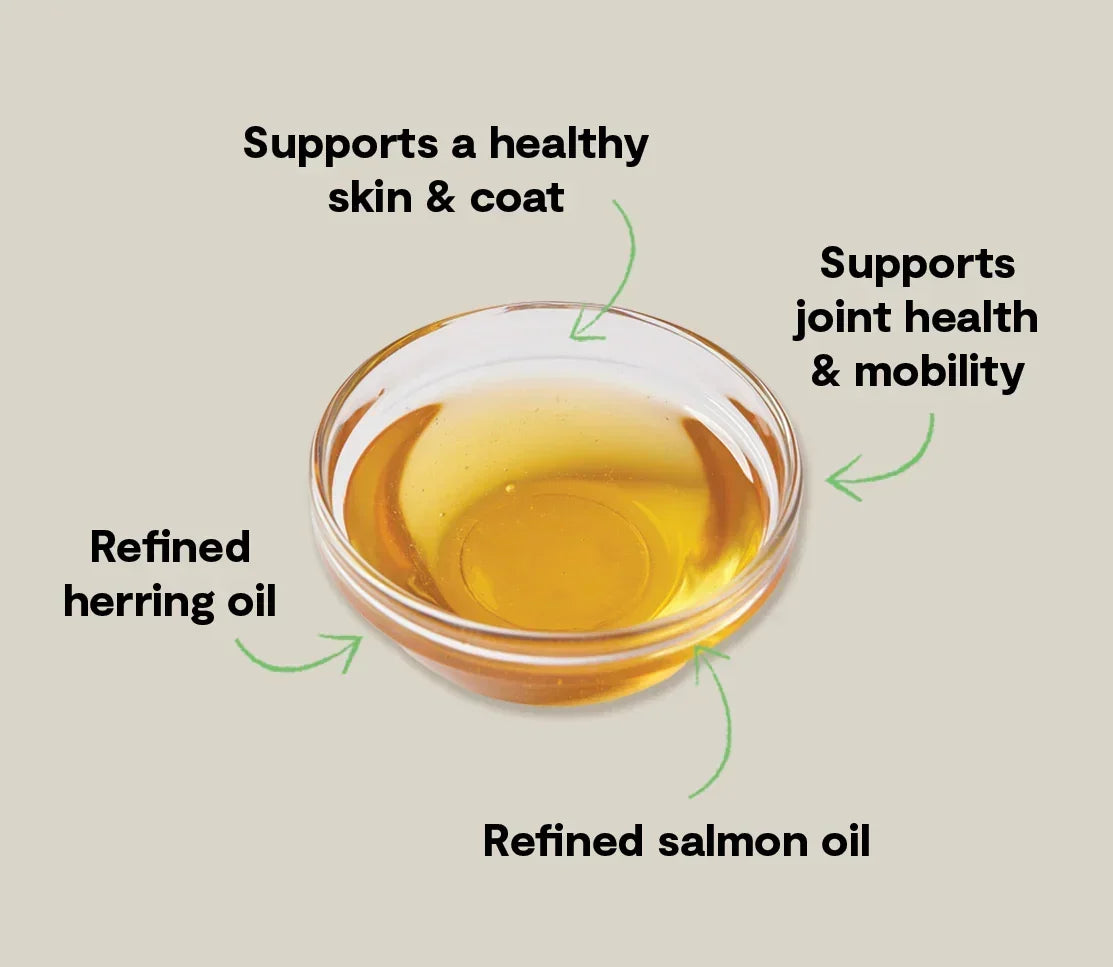 Icelandic Herring & Salmon Oil For Cats
