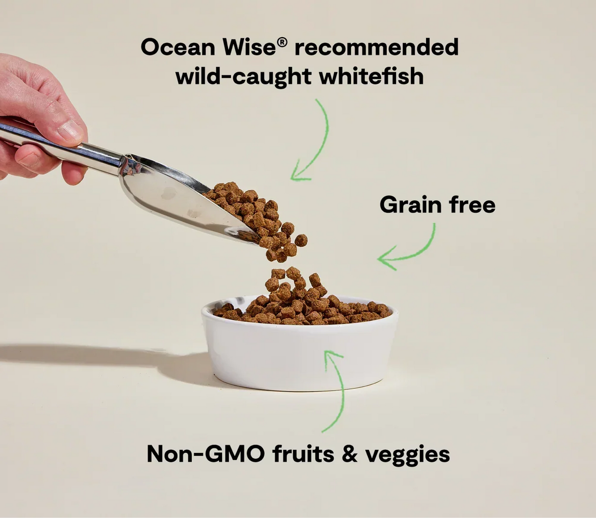 Whitefish Grain-Free Dog Kibble