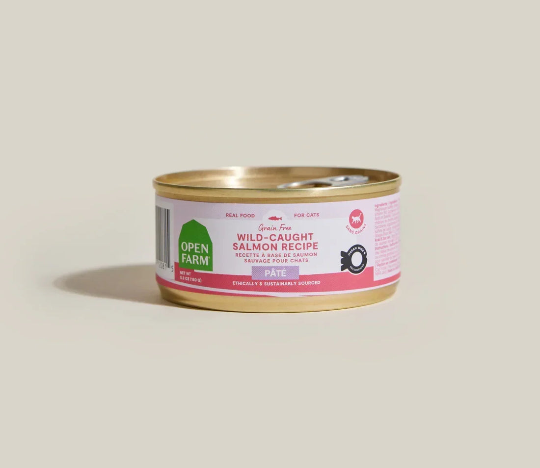 Wild-Caught Salmon Pâté for Cats