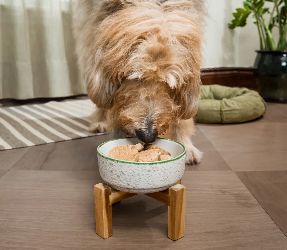 Surf & Turf Freeze Dried Raw Patties for Dogs